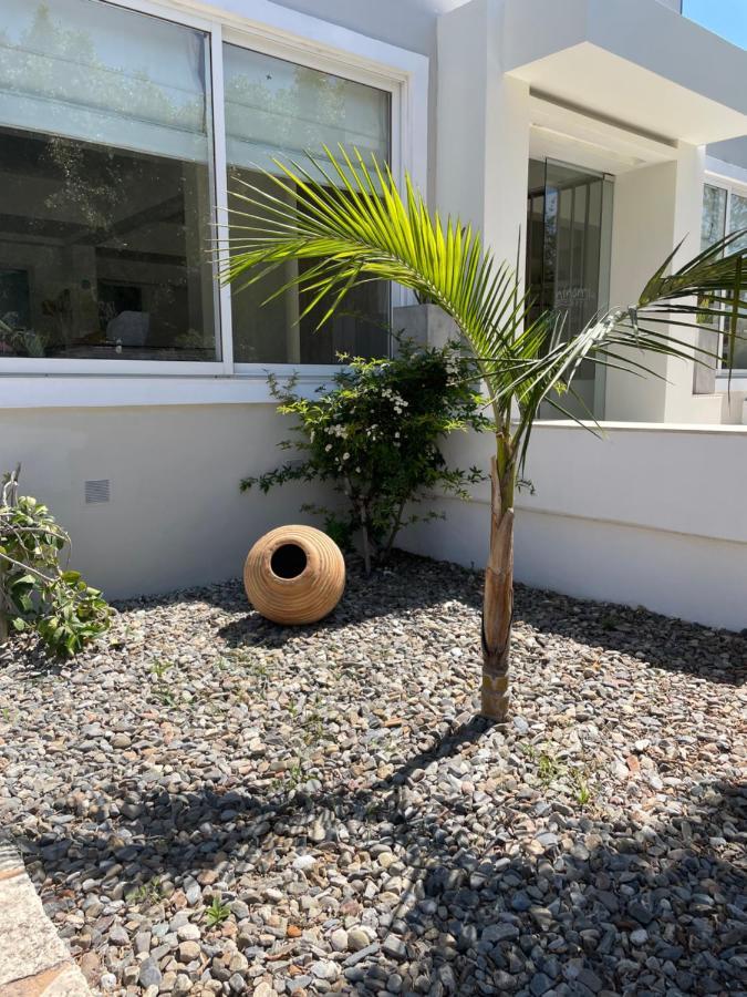 Ninemia Beach Hotel & Suites Agia Marina Exterior foto